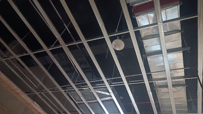 Ceiling antenna